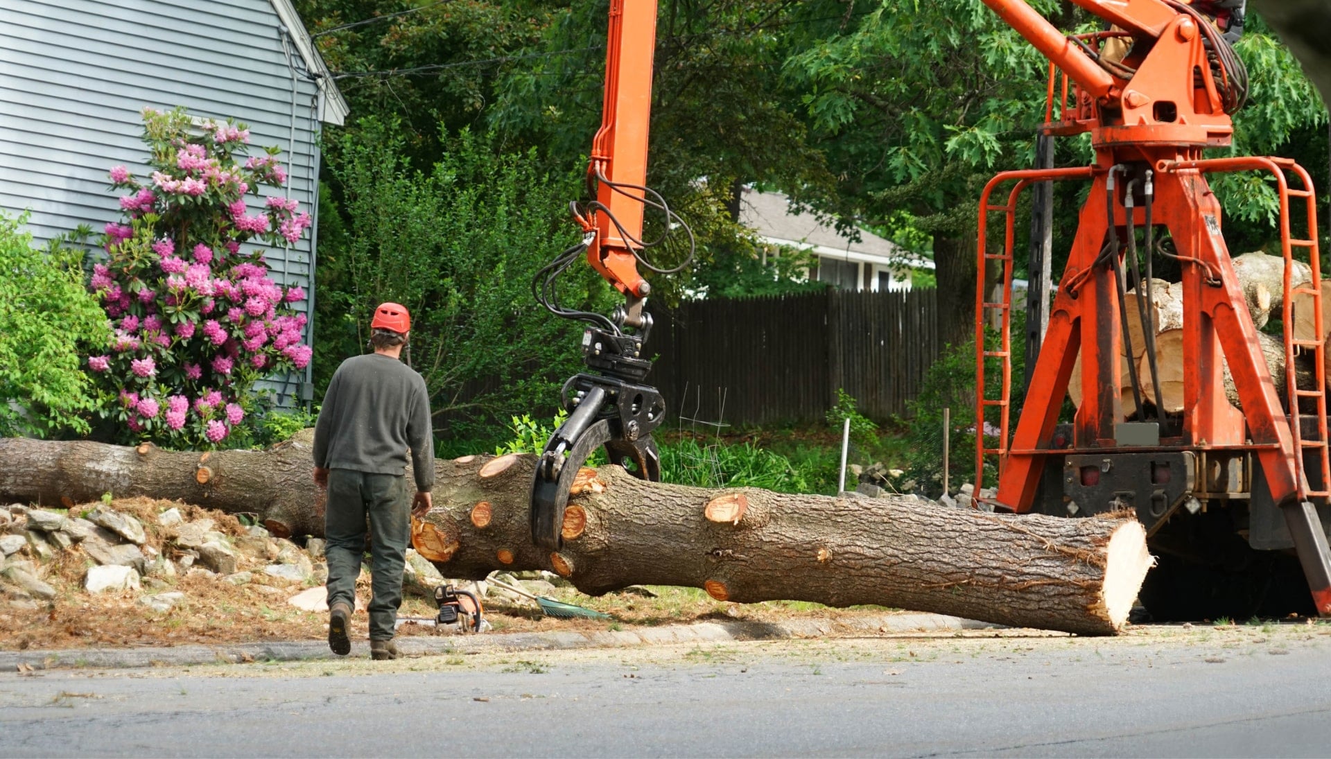 Local partner for Tree removal services in Utica