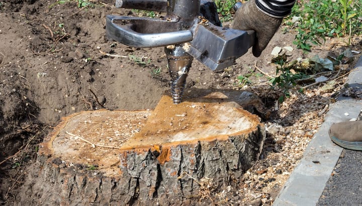 Utica Tree stump removal